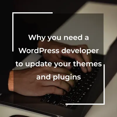 Hire a wordpress developer to do wordpress themes and plugins maintenance